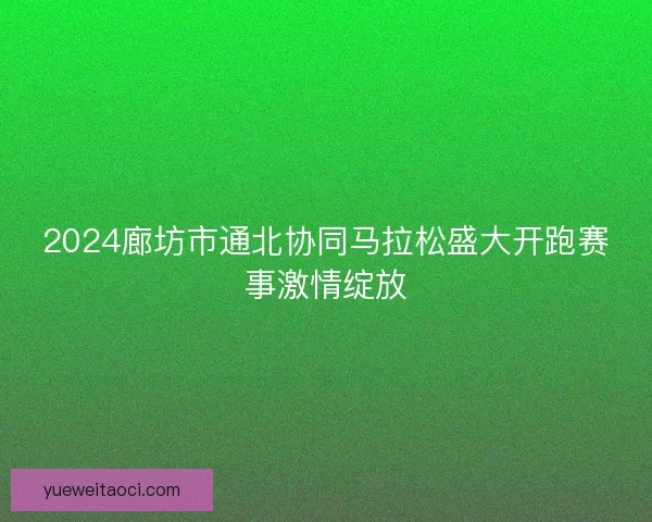 2024廊坊市通北协同马拉松盛大开跑赛事激情绽放