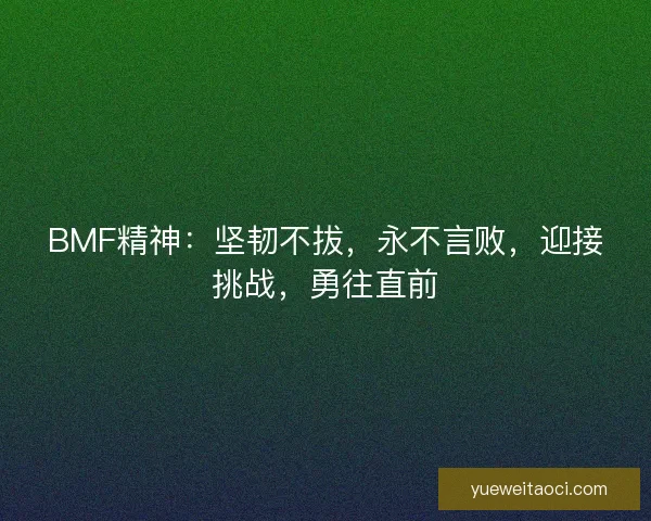 BMF精神：坚韧不拔，永不言败，迎接挑战，勇往直前