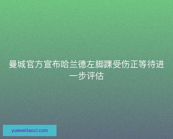 曼城官方宣布哈兰德左脚踝受伤正等待进一步评估