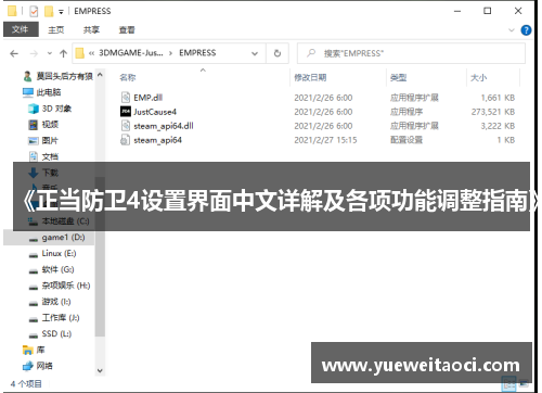 《正当防卫4设置界面中文详解及各项功能调整指南》